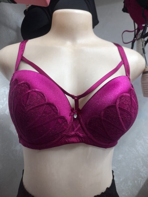 fancy cap D bras at adricious collections.